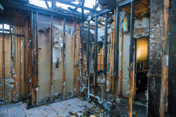 Professional Fire Damage Removal technician working in Long Neck, DE